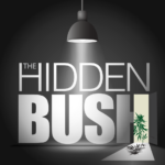 The hidden Bush